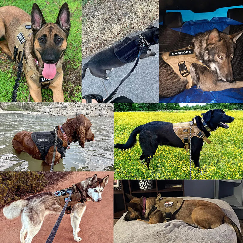 Conjunto de Peitoral e Coleira para Cães Grandes, Pet, Pastor Alemão, Pastor Belga Malinois. Conjunto de Peitoral e Coleira para Treinamento e Caminhada de Cães de Todas as Raças