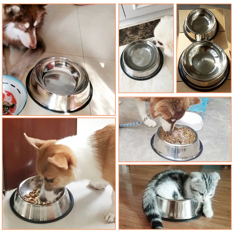 Tigelas de Alimentação em Aço Inoxidável para Cães e Gatos de 6 Tamanhos Diferentes: PP/P/M/G/GG/GGG