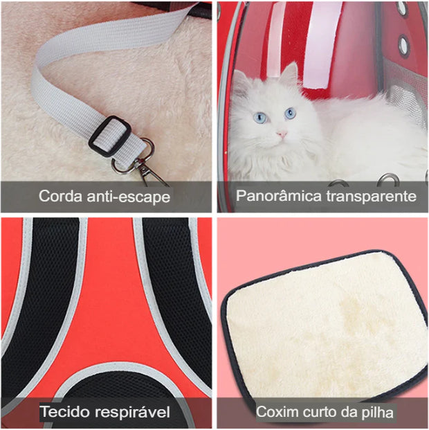 Bolsa de Transporte para Gatos e Cães Pequenos - Mochila Respirável e Transparente para Viagem e Passeios ao Ar Livre. Frete Grátis!